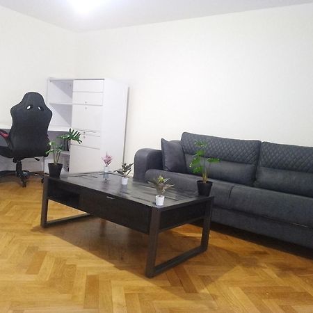 Charming Flat Center And Near The Lake Genf Exterior foto