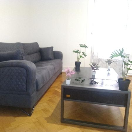 Charming Flat Center And Near The Lake Genf Exterior foto