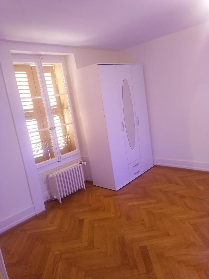 Charming Flat Center And Near The Lake Genf Exterior foto