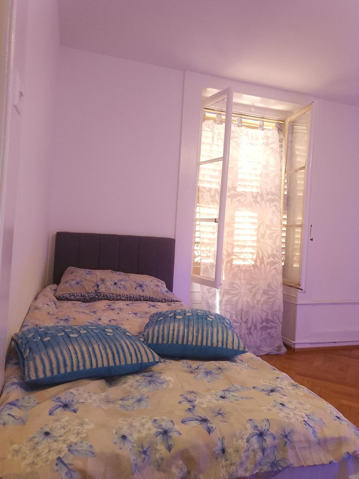 Charming Flat Center And Near The Lake Genf Exterior foto