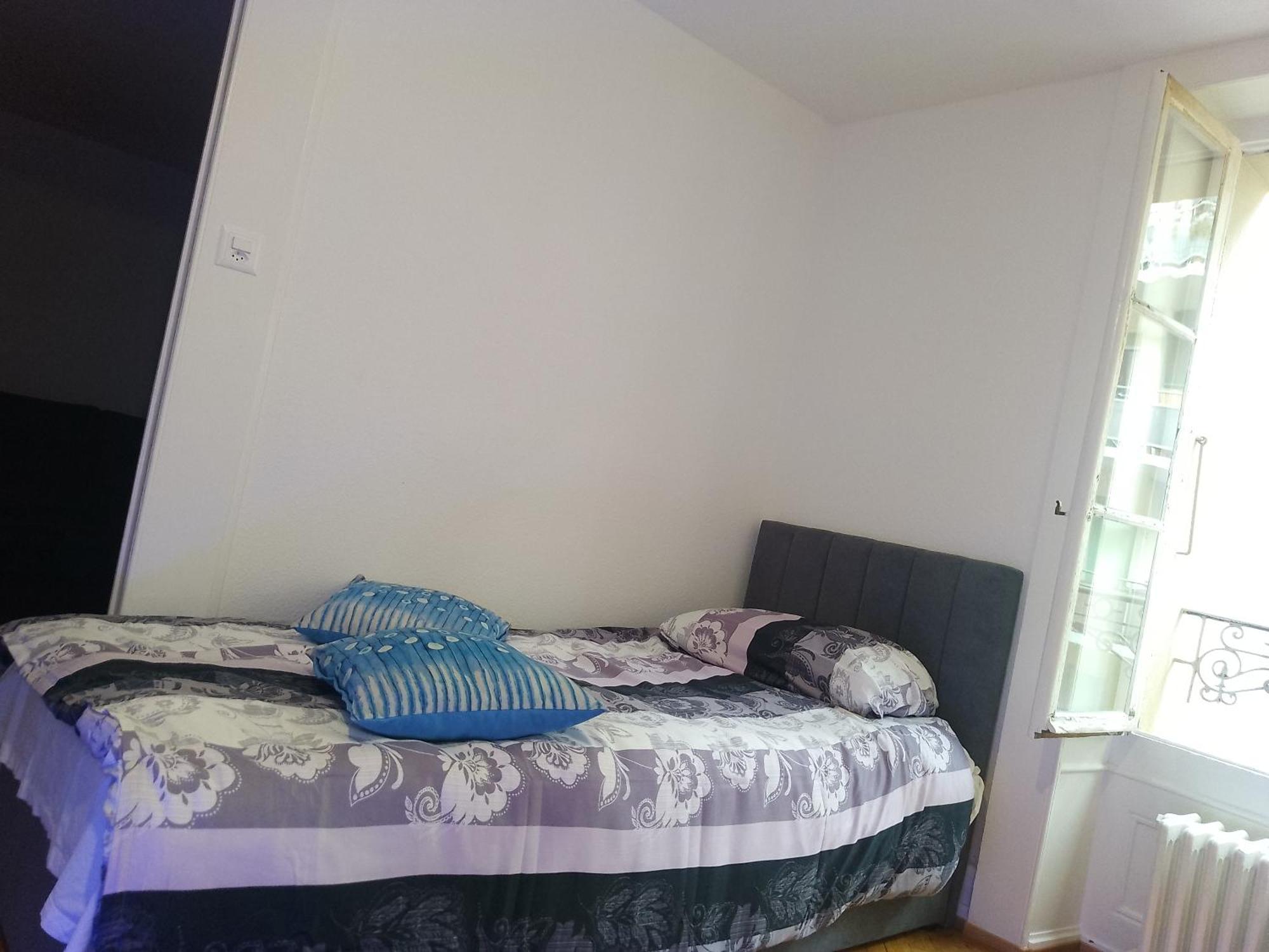 Charming Flat Center And Near The Lake Genf Exterior foto